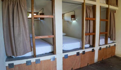 Bunk Bed in Mixed Dormitory Room