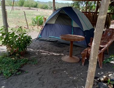 Tent