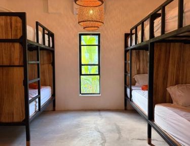 Bed in 6-Bed Dormitory Room