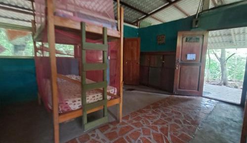 Single Bed in Mixed Dormitory Room