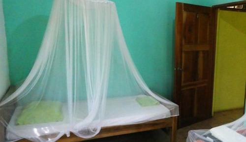 Mixed Dormitory Room