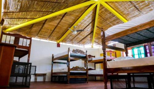Single Bed in 6-Bed Dormitory Room