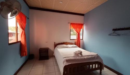 Budget Single Room