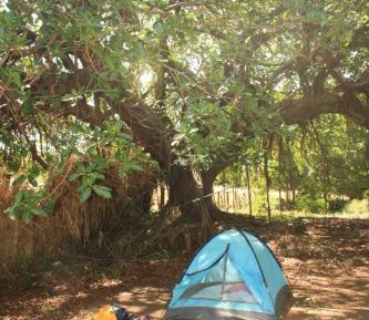 Tent