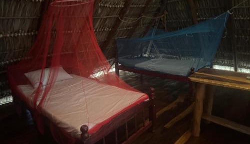 Single Bed in Dormitory Room