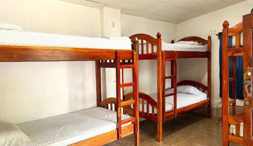 Bed in 6-Bed Mixed Dormitory Room