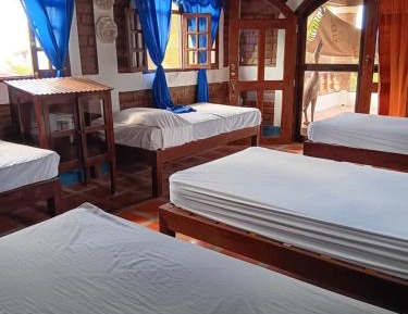 Single Bed in Female Dormitory Room