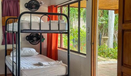Bed in 8-Bed Mixed Dormitory Room