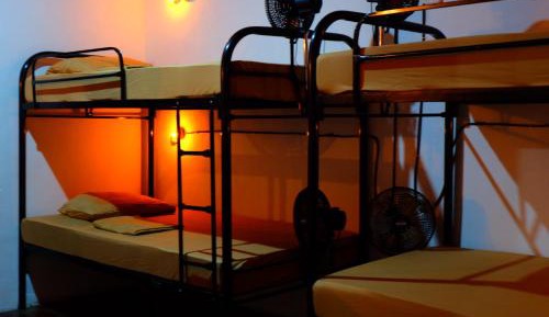 Bed in 8-Bed Dormitory Room