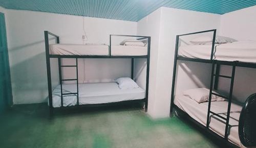 Bunk Bed in Mixed Dormitory Room