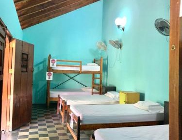 Single Bed in Mixed Dormitory Room