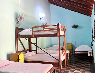 Single Bed in Mixed Dormitory Room