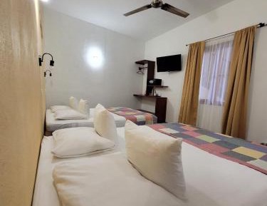 Standard Double Suite