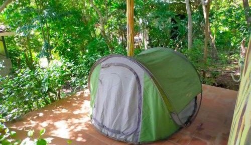 Tent