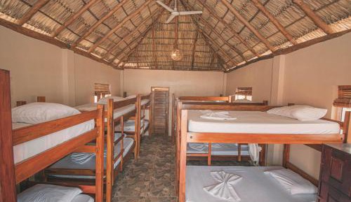 Mixed Dormitory Room