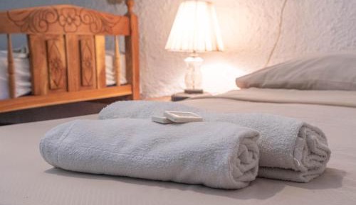 Single Bed in 6-Bed Dormitory Room
