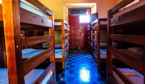 Bunk Bed in Mixed Dormitory Room