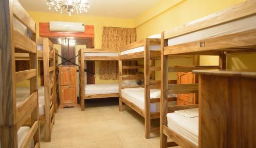 Bunk Bed in Mixed Dormitory Room