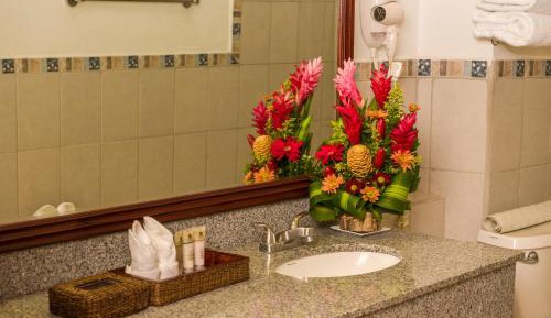Superior Twin Room with Garden View