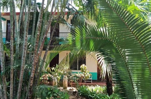Leon Hostel | Hostal Harvest House