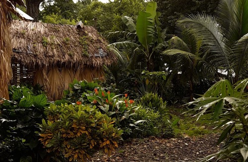 Balgue Cabin | Cabañas El Bamboo
