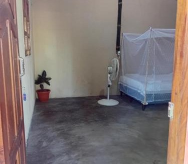 Balgue Apartment | Iguana House