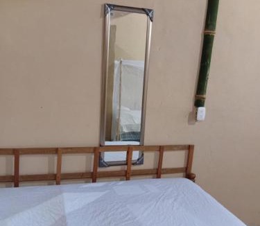 Balgue Apartment | Iguana House