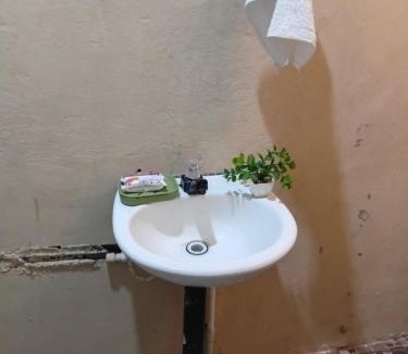 Balgue Apartment | Iguana House