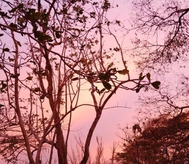 Lago de Apoyo House | Finca Cazzanica
