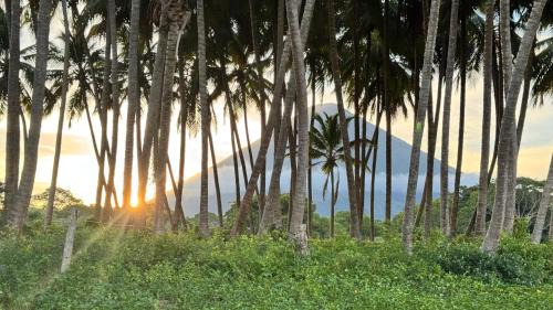 Playa Santo Domingo Hotel | Hotel Rancho Primavera