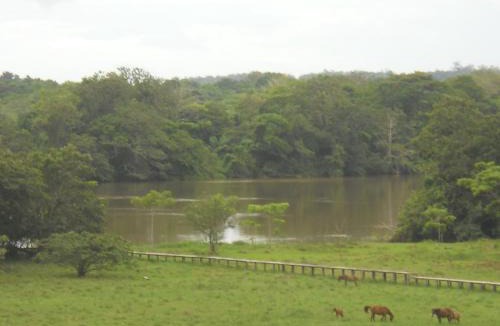 Managua Hotel | Hostel Grand River lodge