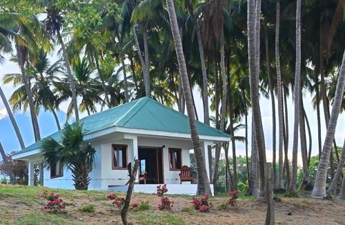 Playa Santo Domingo Hotel | Rancho Primavera