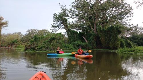 Merida Cabin | Sunny Garden Lodge