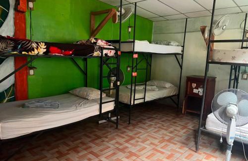 Balgue House | Lazy Crab Hostel