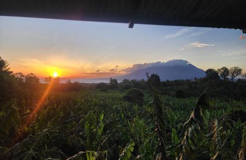 Ometepe Island House | Hostal Bullshark