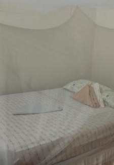 Balgue House | El Güis hostel