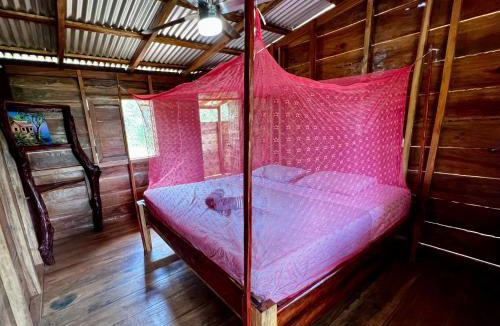 San Carlos Bed & Breakfast | La Casa del Chocolate, We love Cacao