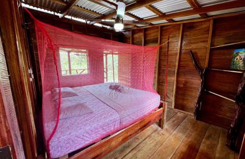 San Carlos Bed & Breakfast | La Casa del Chocolate, We love Cacao