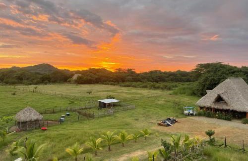 Jiquelite Hostel | Finca Buena Vida Hostel