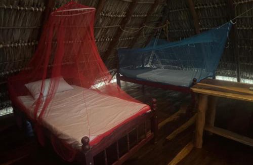 Jiquelite Hostel | Finca Buena Vida Hostel