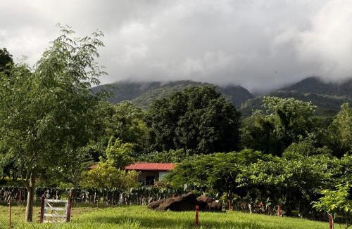 Balgue Cabin | Finca Ometepe