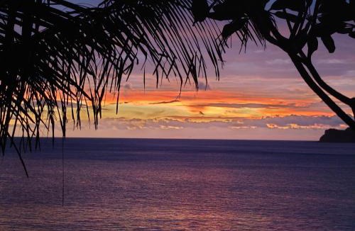 El Gigante Hostel | Monkey House Hostel