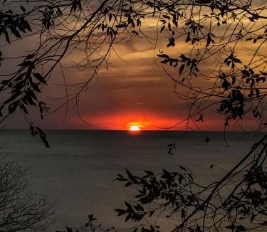 El Gigante House | Casa Medusa