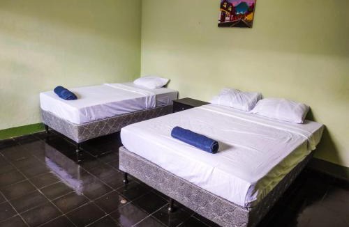 Leon Bed & Breakfast | CocoHouse Leon
