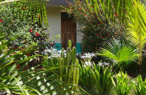 Leon Hotel | Hostal Harvest House