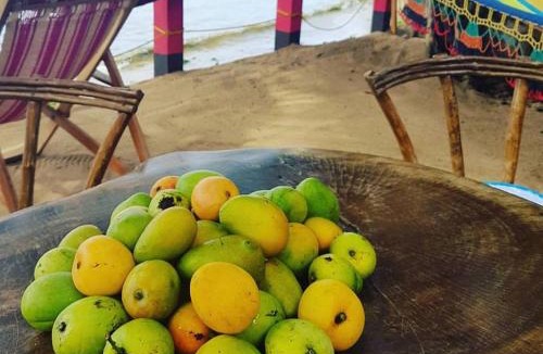 Little Corn Island Bed & Breakfast | Las Palmeras OceanView Hotel and Dive Center