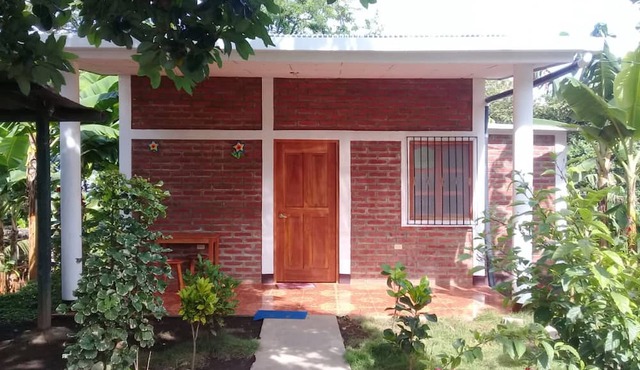 Inn Hospedaje BullShark
