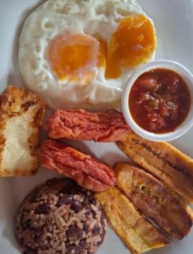 exotic island ometepe