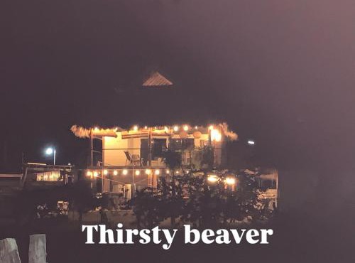 Thirstybeaver