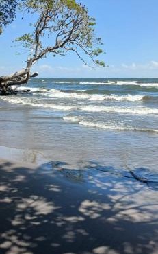 Beach & forest Escape in Santo Domingo
